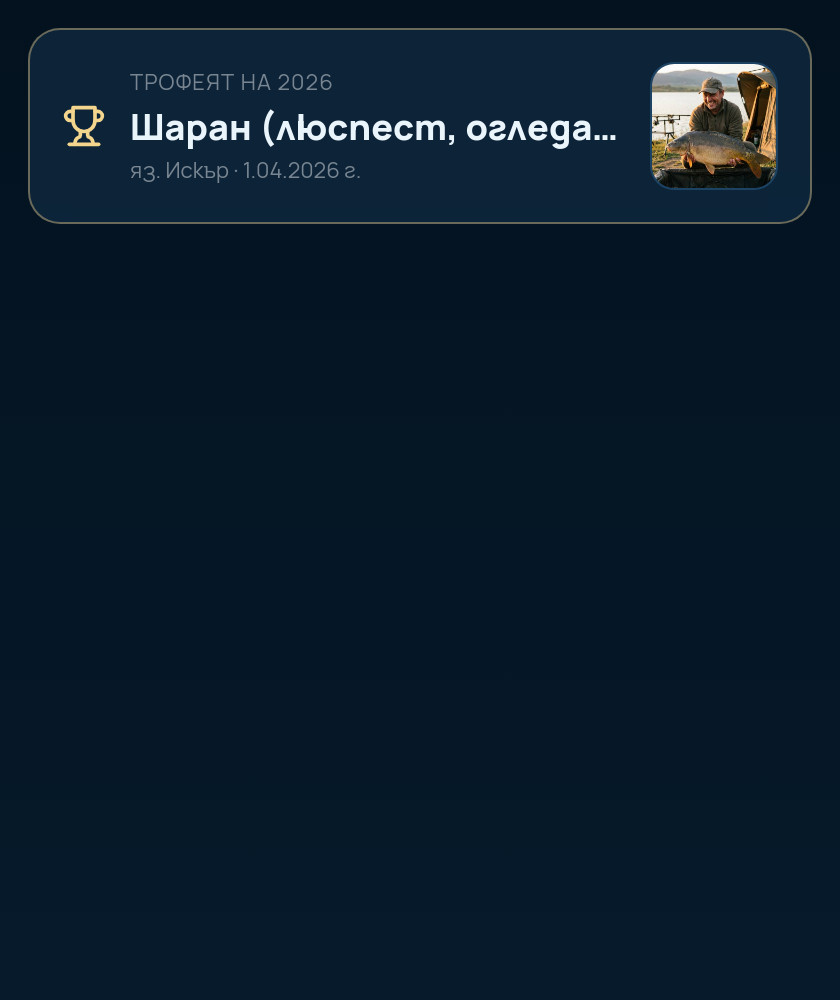 Трофейна стена